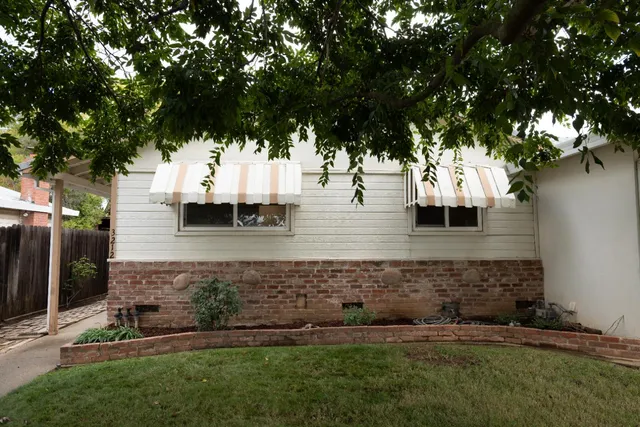 a view of a yard with large tree