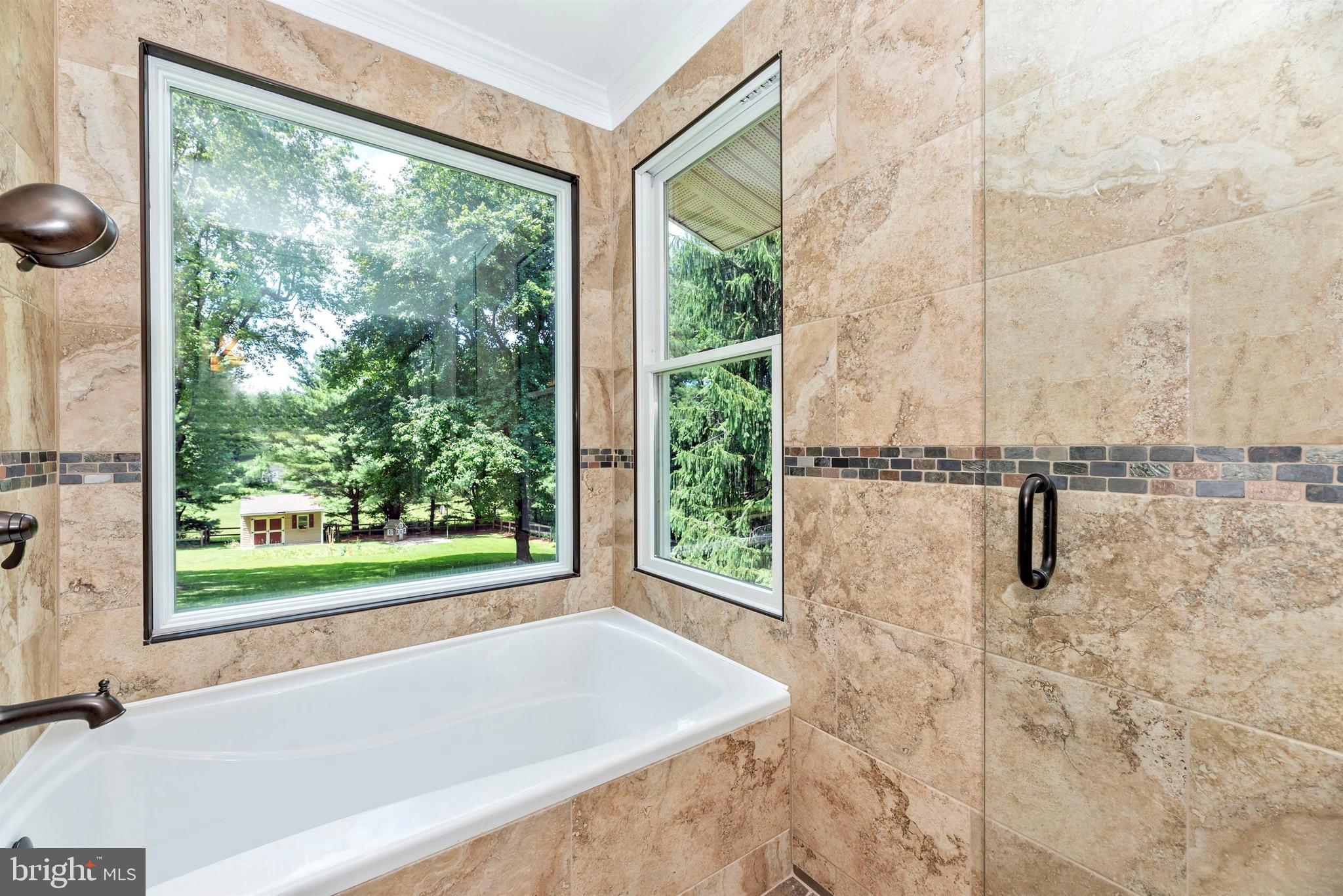 5184 Perry Road Mount Airy, MD 21771 - Photo 32 of 75 Soak in the tub with a private view