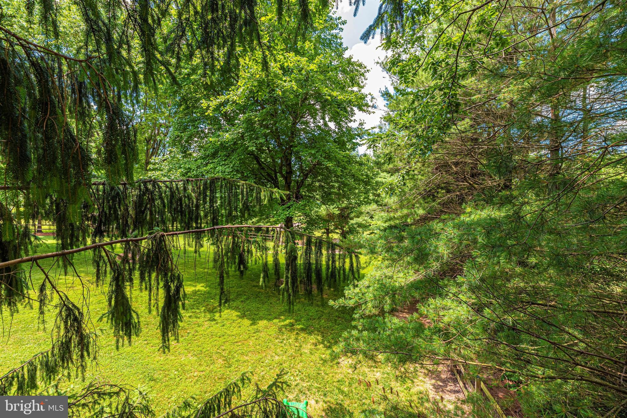 5184 Perry Road Mount Airy, MD 21771 - Photo 67 of 75 View from the Tree House