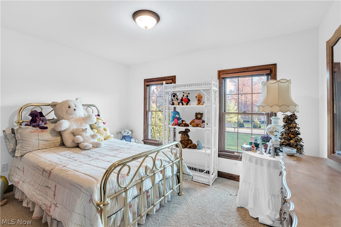 4000 Shields Road Canfield, OH 44406 - Photo 45 of 50