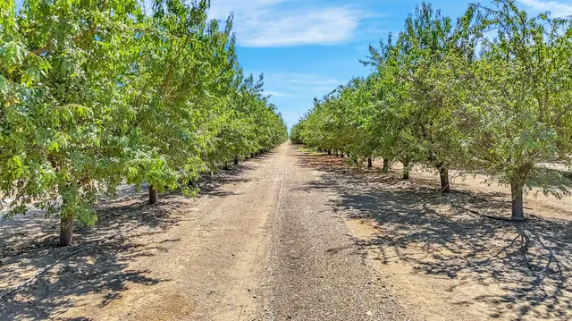 a view of a dirt road with trees in the background