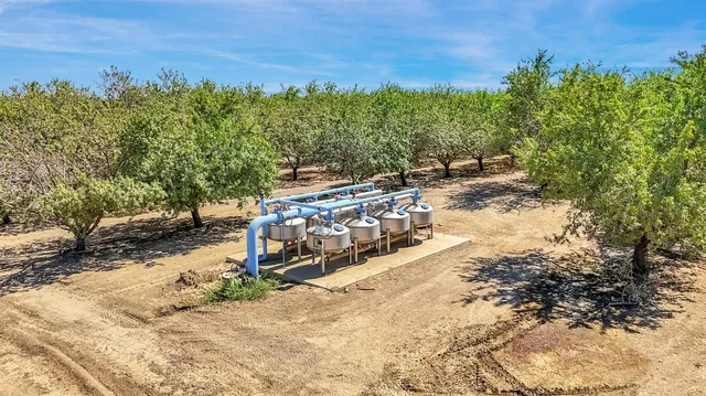 a view of a yard with trees
