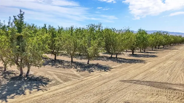 a view of an ocean beach