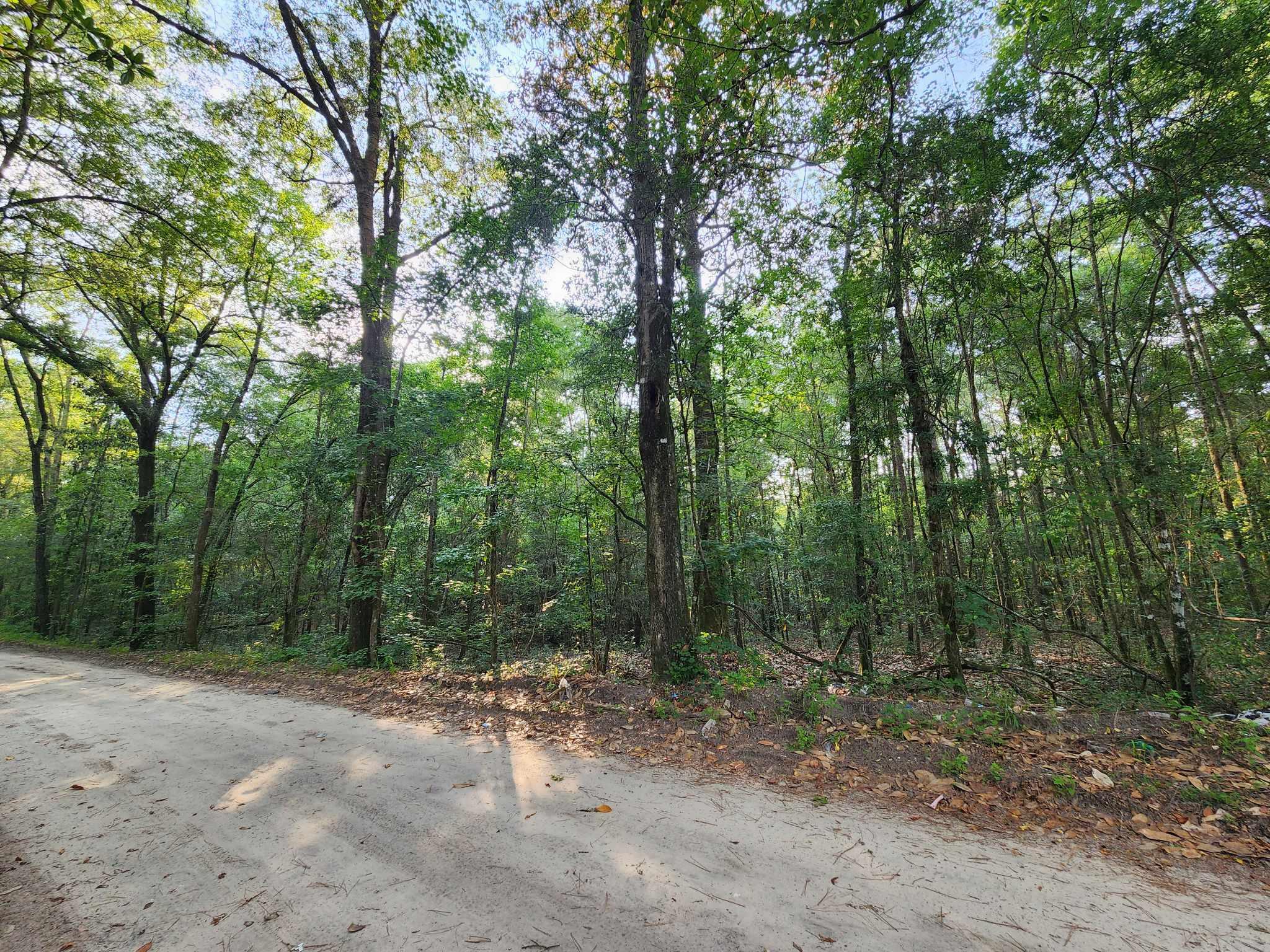 0 Lambert Road Walterboro, SC 29488 - Photo 1 of 2 355068767_3011306875679519_7662387043803