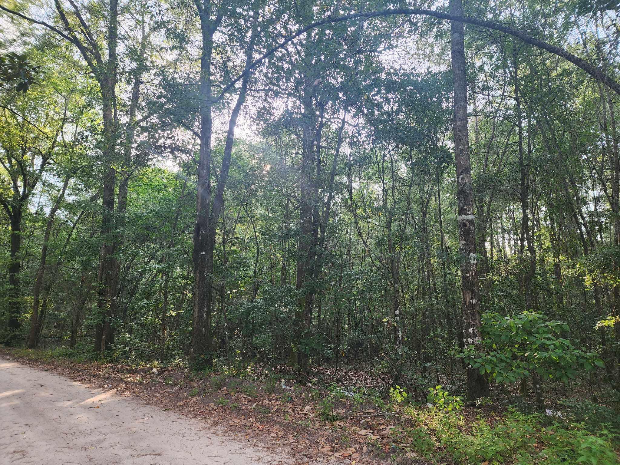 0 Lambert Road Walterboro, SC 29488 - Photo 2 of 2 355066415_904767681004485_57104857073038