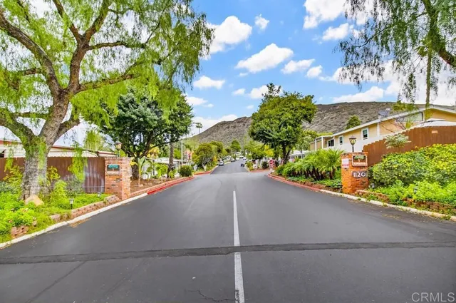 a view of a garden with a tree