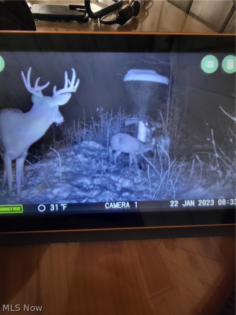 Kile Road Montville, OH 44064 - Photo 15 of 21 Gallery Image 15