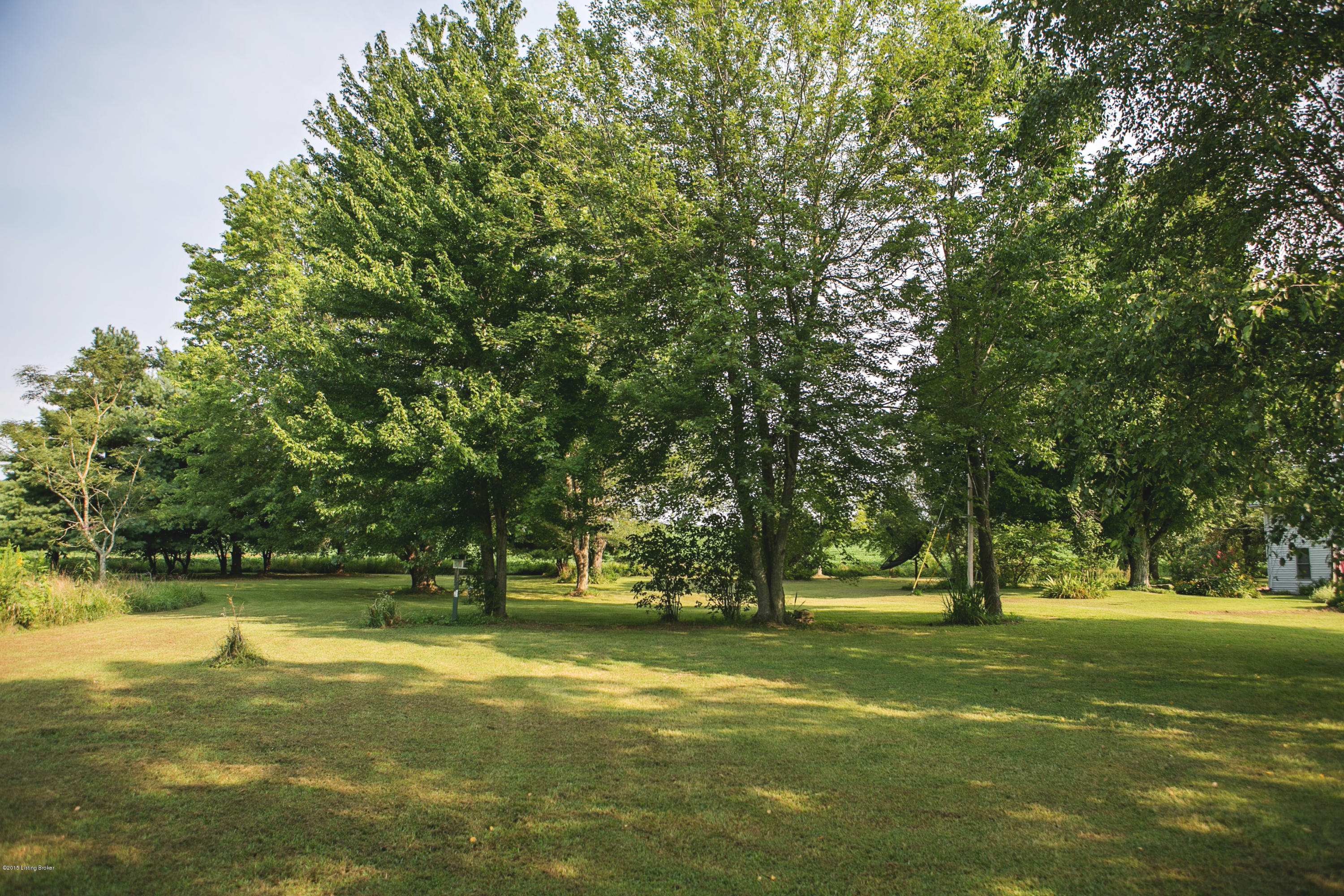904 Calvert Church Road Leitchfield, KY 42754 - Photo 71 of 87 GS9A1679