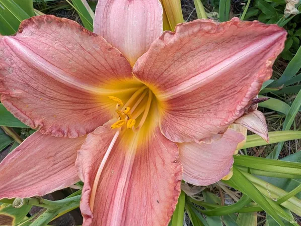 a aerial view of a house with a yard