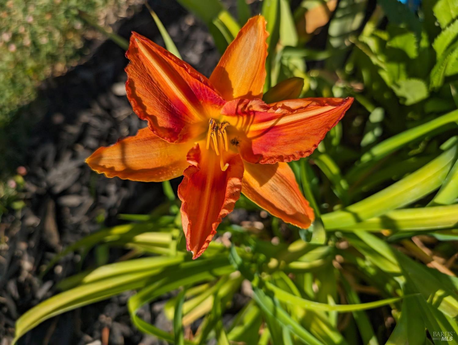 Undisclosed Address Rohnert Park, CA 94928 - Photo 26 of 29 a view of an outdoor space