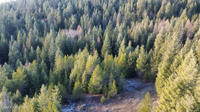 $259,900 | L7-b1 Kelso Woods Drive, Athol, ID 83801