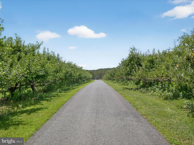 a view of a wooden deck with a yard