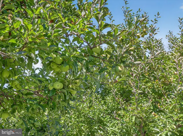 $2,495,000 | 1494 Mountain Road, Orrtanna, PA 17353