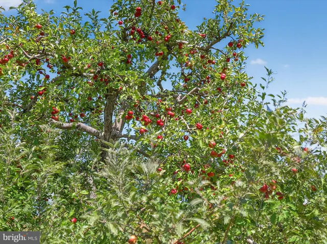 $2,495,000 | 1494 Mountain Road, Orrtanna, PA 17353