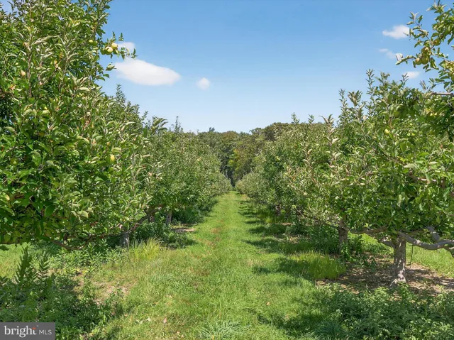 $2,495,000 | 1494 Mountain Road, Orrtanna, PA 17353