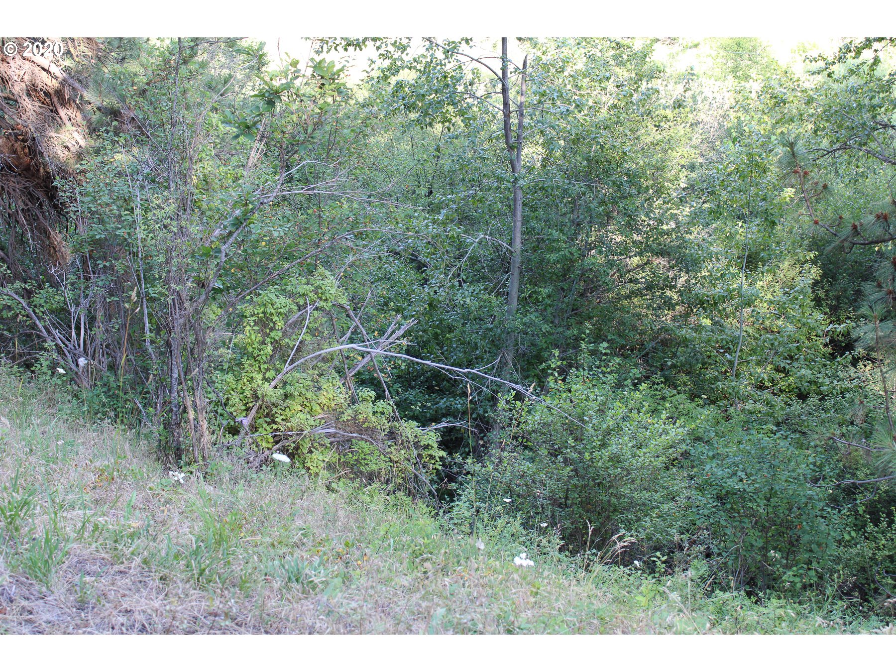 1 Pper Imnaha Road Imnaha, OR 97842 - Photo 19 of 23 Gallery Image 19