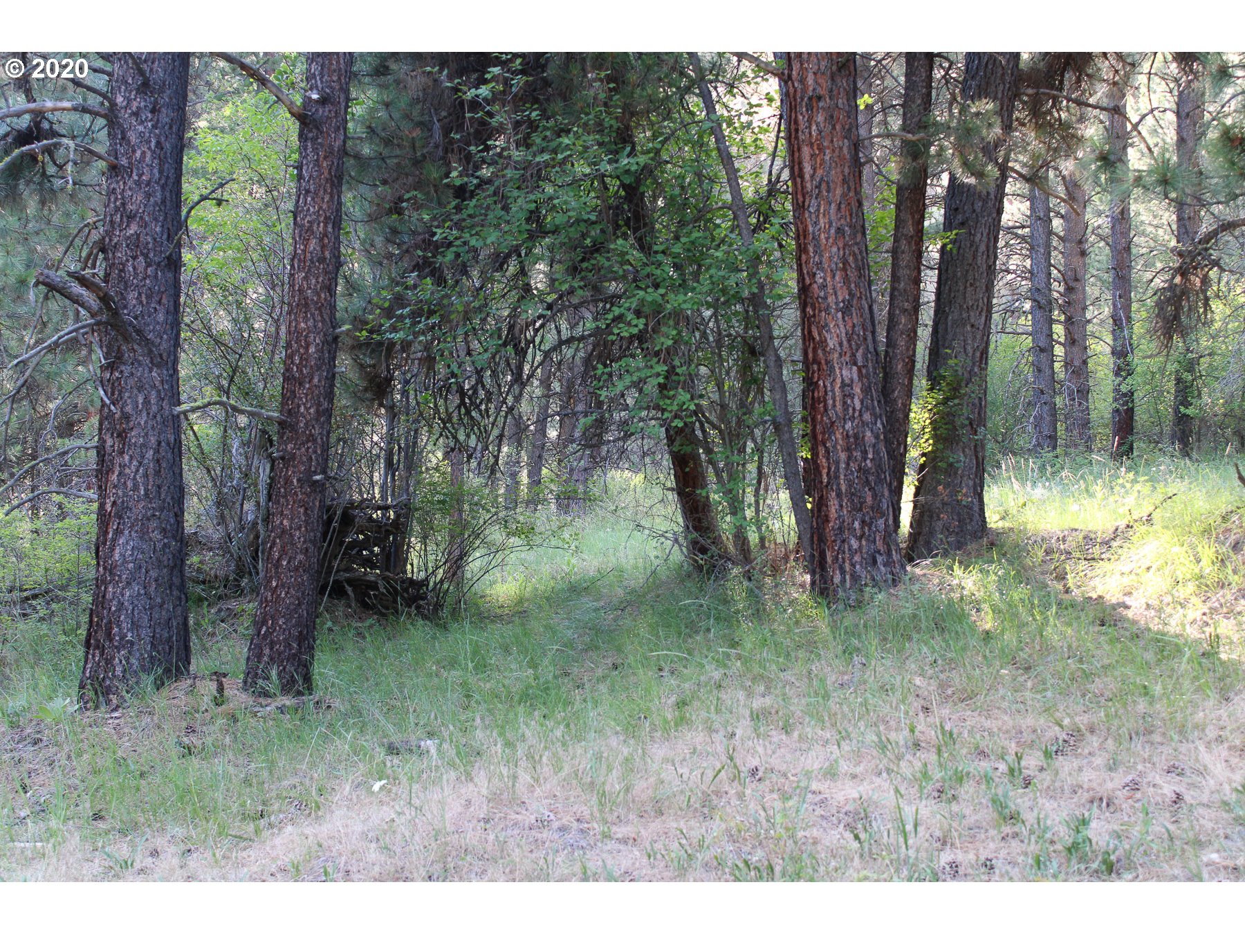 1 Pper Imnaha Road Imnaha, OR 97842 - Photo 20 of 23 Gallery Image 20