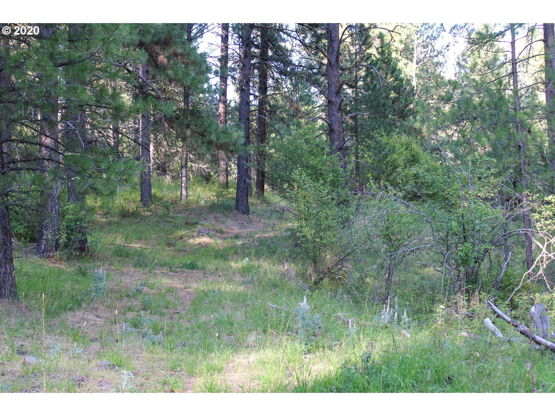 1 Pper Imnaha Road Imnaha, OR 97842 - Photo 21 of 23 Gallery Image 21