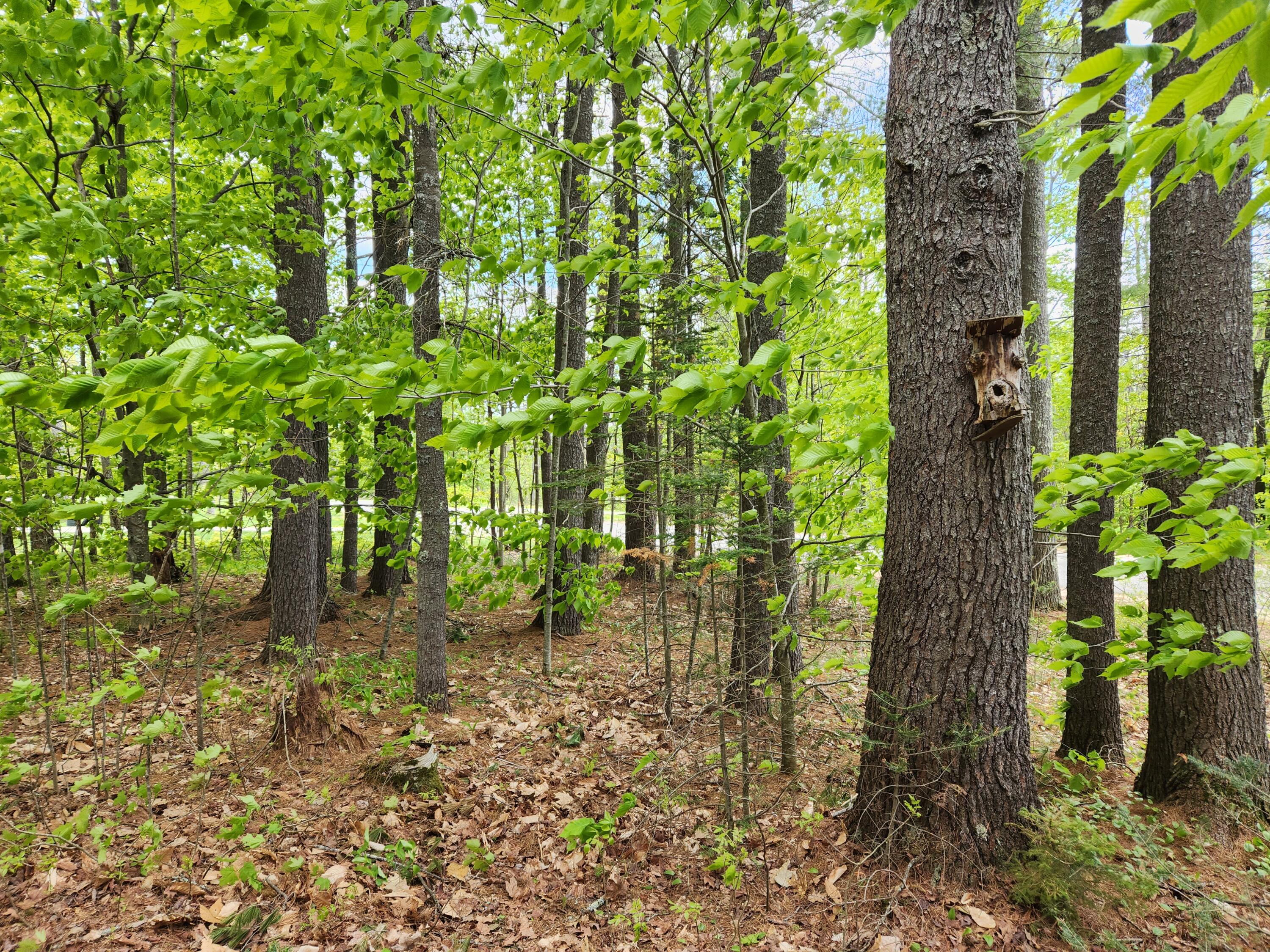 110 Christian Ridge Road South Paris, ME 04281 - Photo 59 of 69 20230517_145631