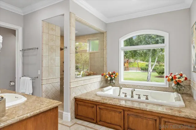 a bathroom with a bath tub and a shower