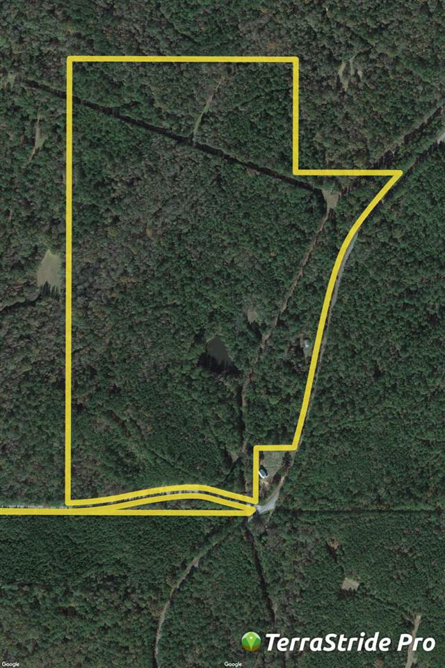 0 Rocky Hill Road Pickens, MS 39146 - Photo 1 of 1 Photo 1