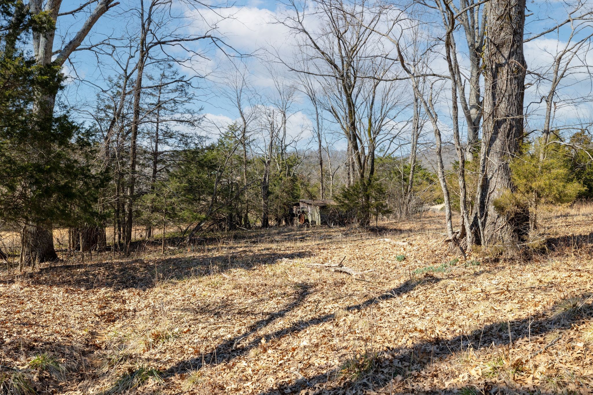 2208 Osburn Road Arrington, TN 37014 - Photo 1 of 35