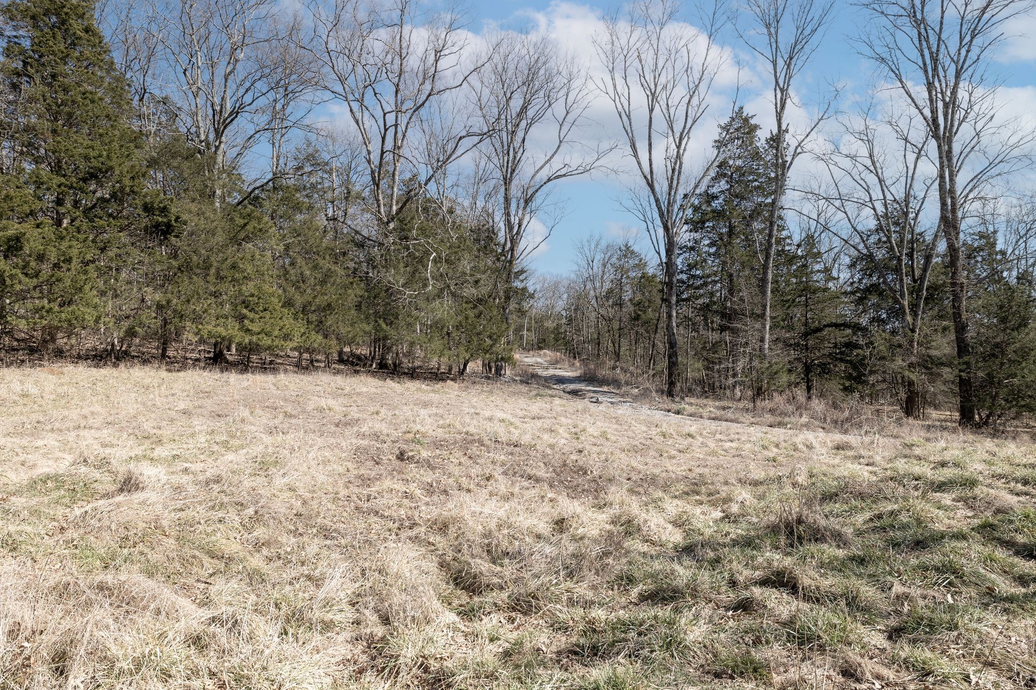 2208 Osburn Road Arrington, TN 37014 - Photo 11 of 35