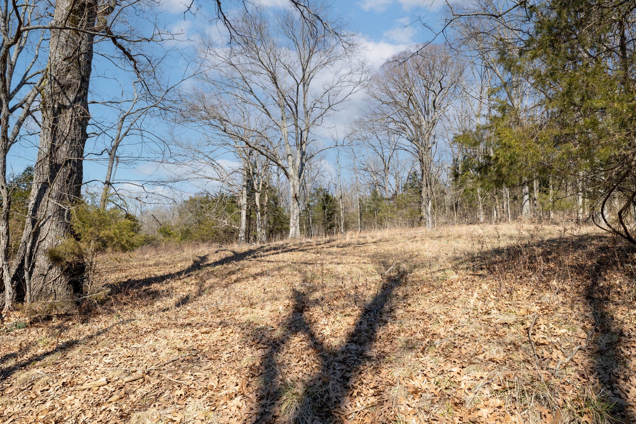 2208 Osburn Road Arrington, TN 37014 - Photo 12 of 35