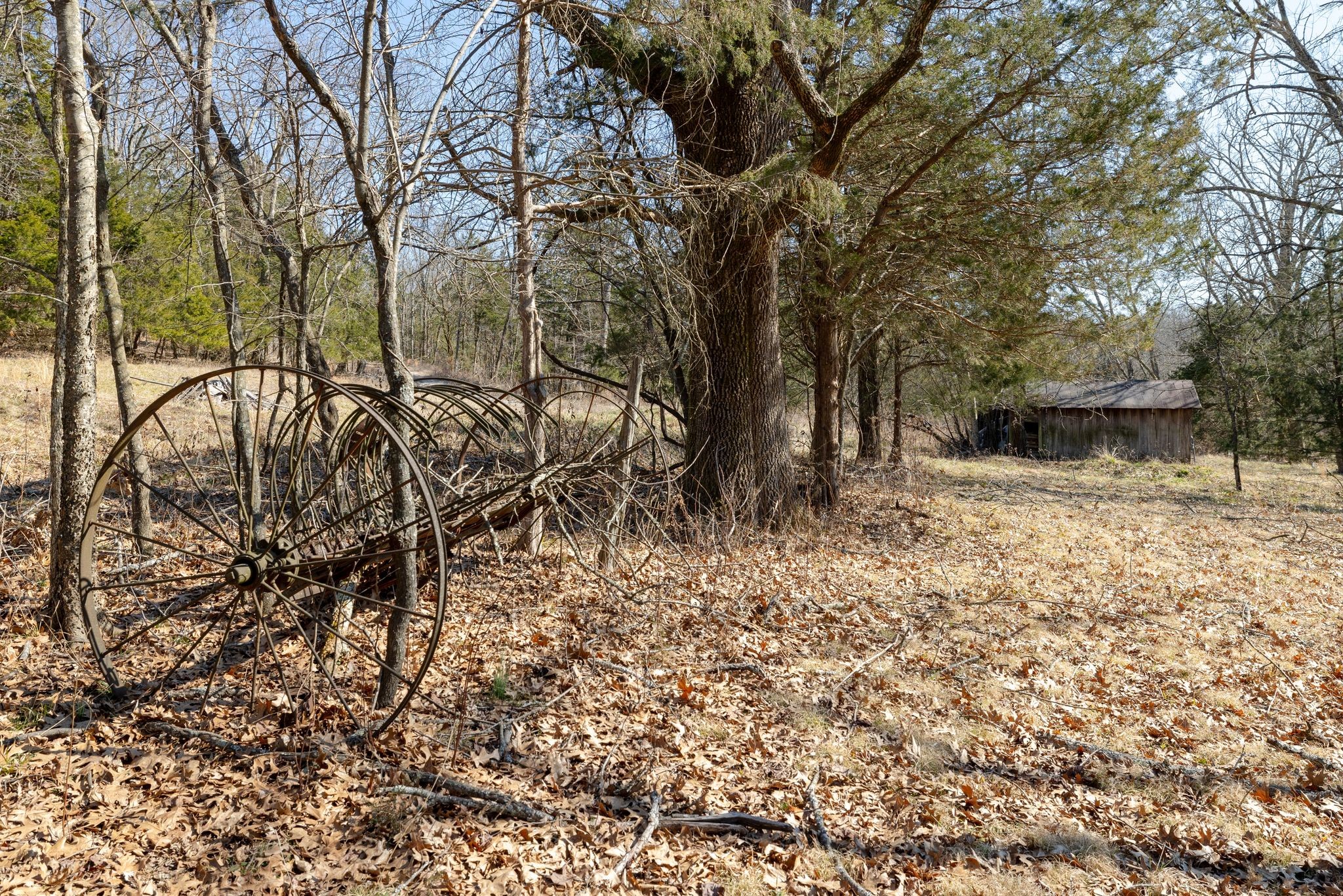 2208 Osburn Road Arrington, TN 37014 - Photo 13 of 35