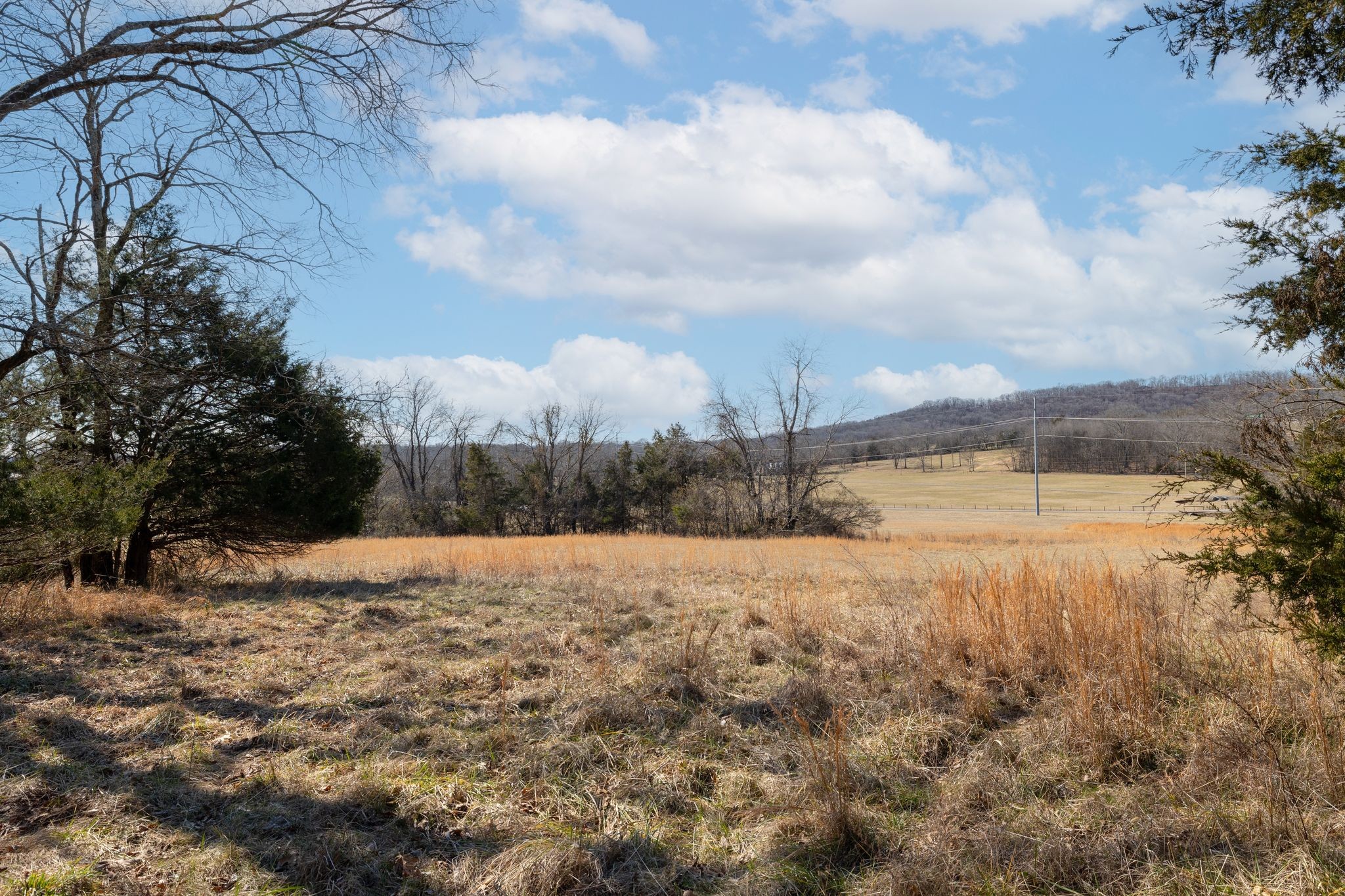 2208 Osburn Road Arrington, TN 37014 - Photo 15 of 35