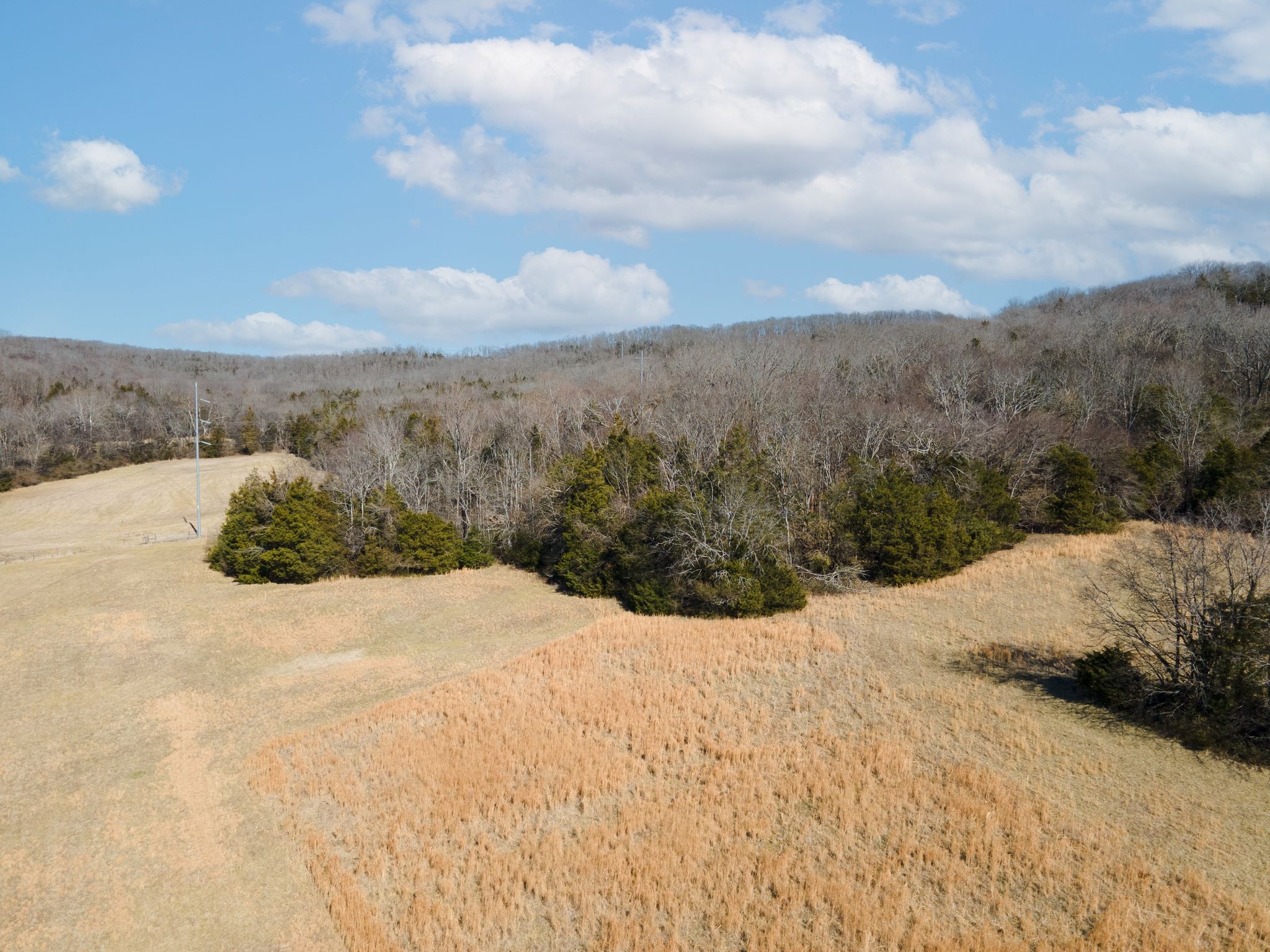 2208 Osburn Road Arrington, TN 37014 - Photo 17 of 35