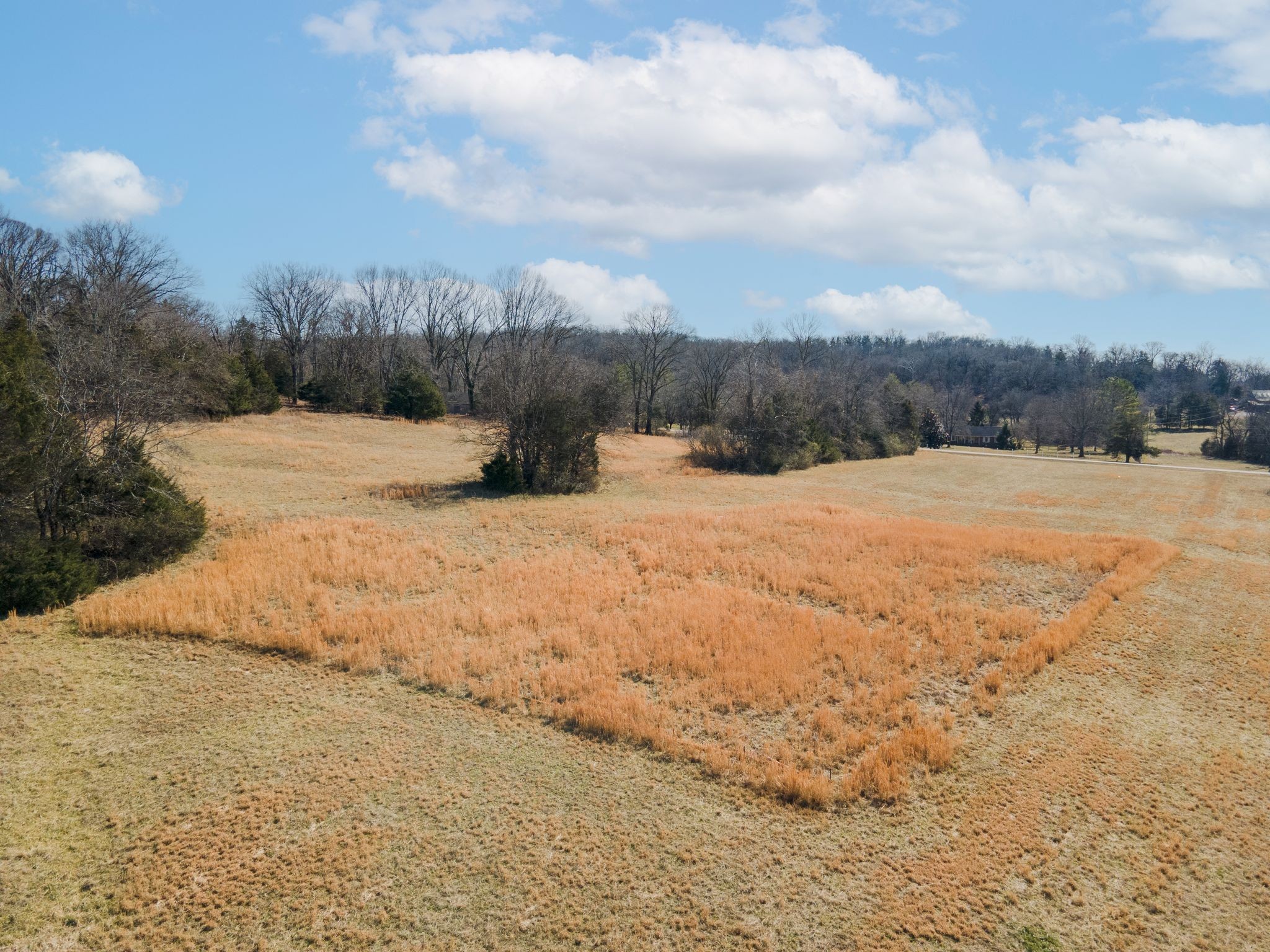 2208 Osburn Road Arrington, TN 37014 - Photo 19 of 35