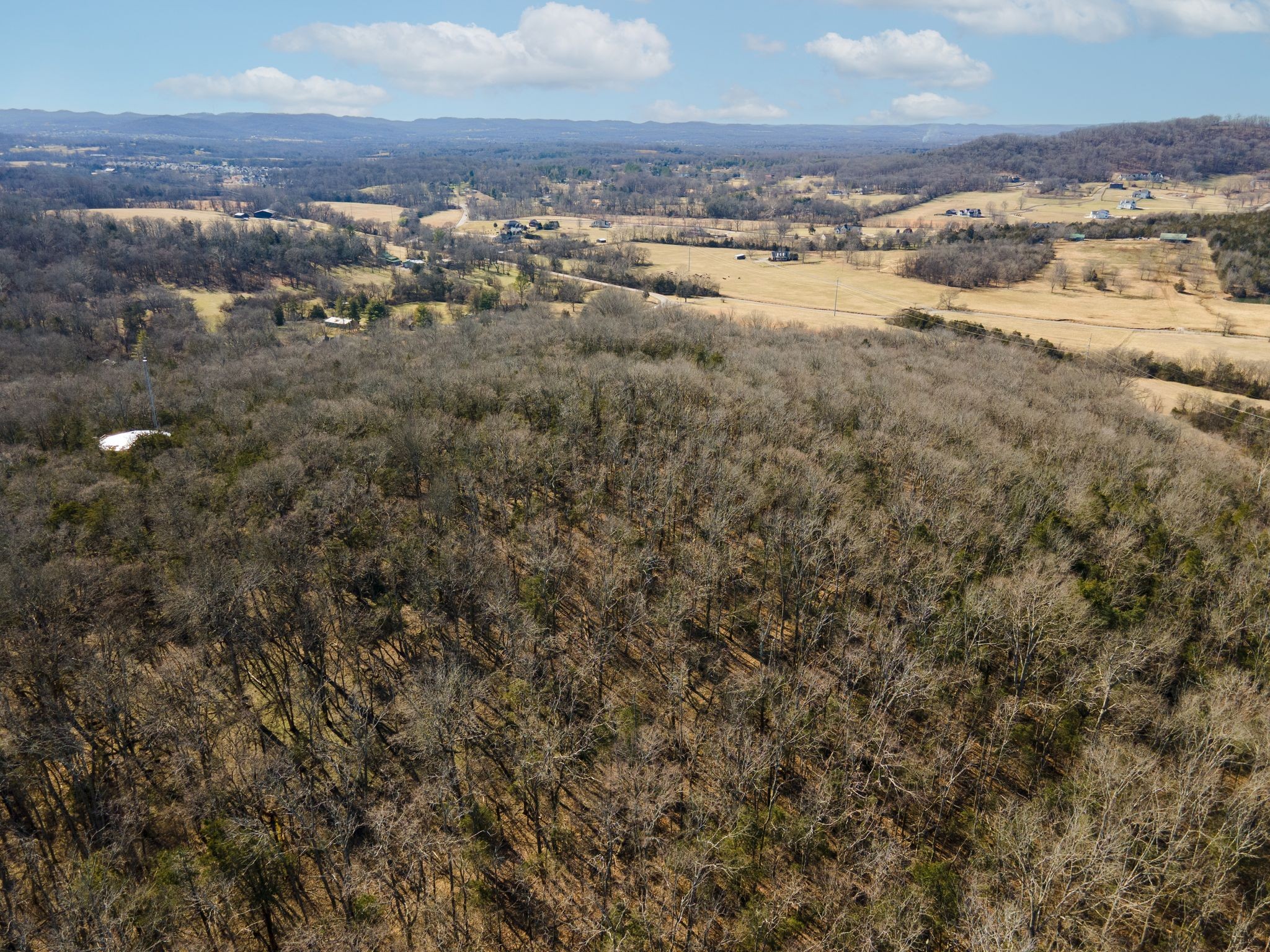 2208 Osburn Road Arrington, TN 37014 - Photo 31 of 35