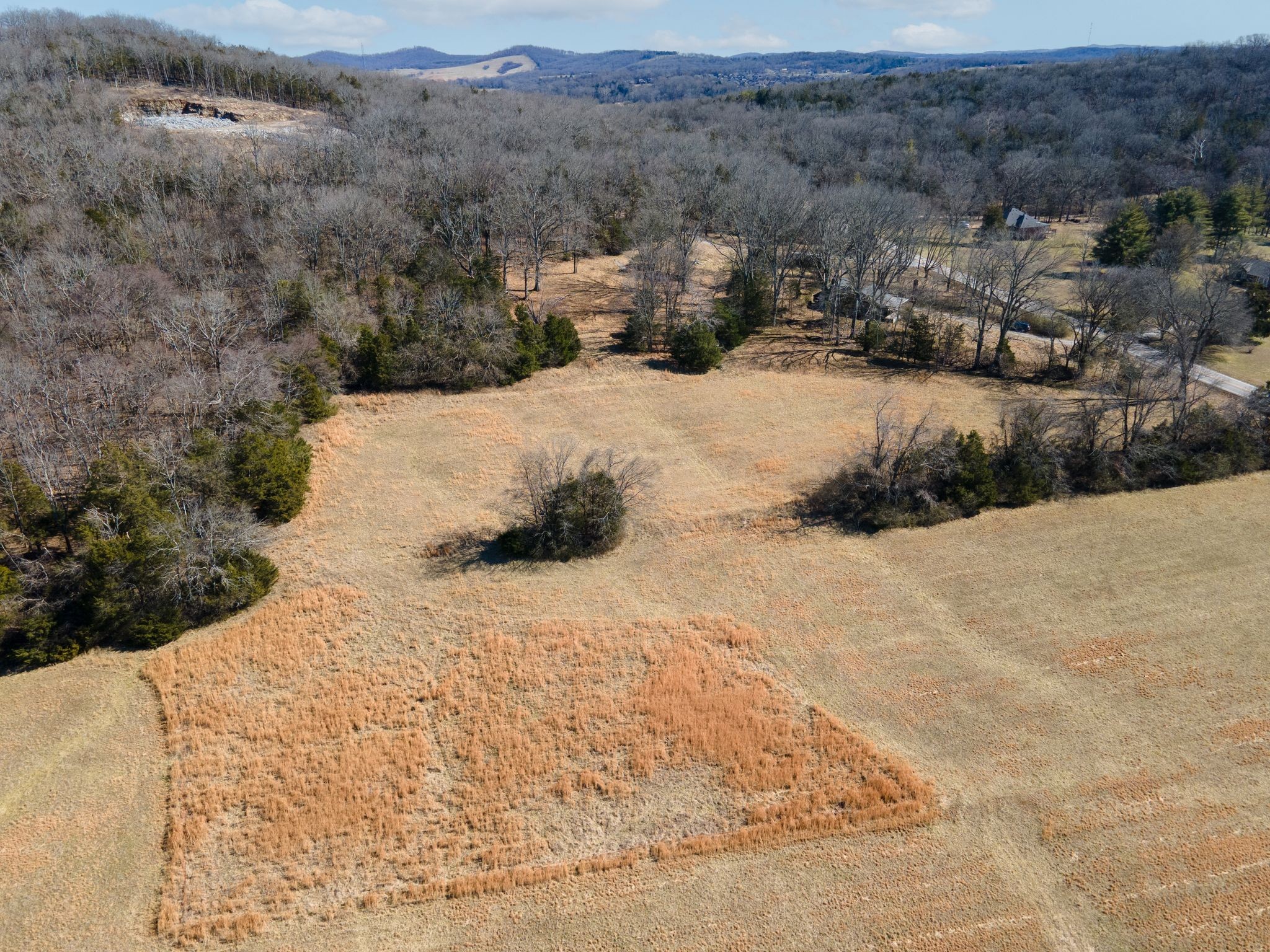 2208 Osburn Road Arrington, TN 37014 - Photo 5 of 35