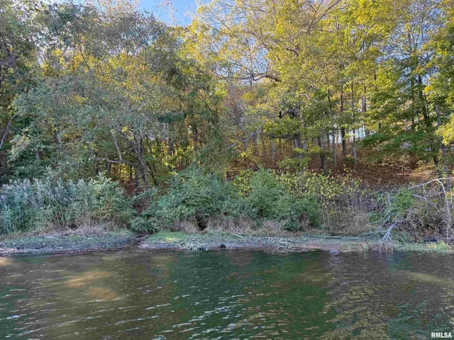 $67,000 | 0 Clifty Lane, Goreville, IL 62939