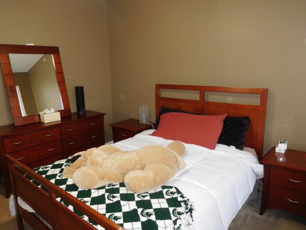194 Mill Street Rochester, MI 48307 - Photo 42 of 48 31352313-41.JPG