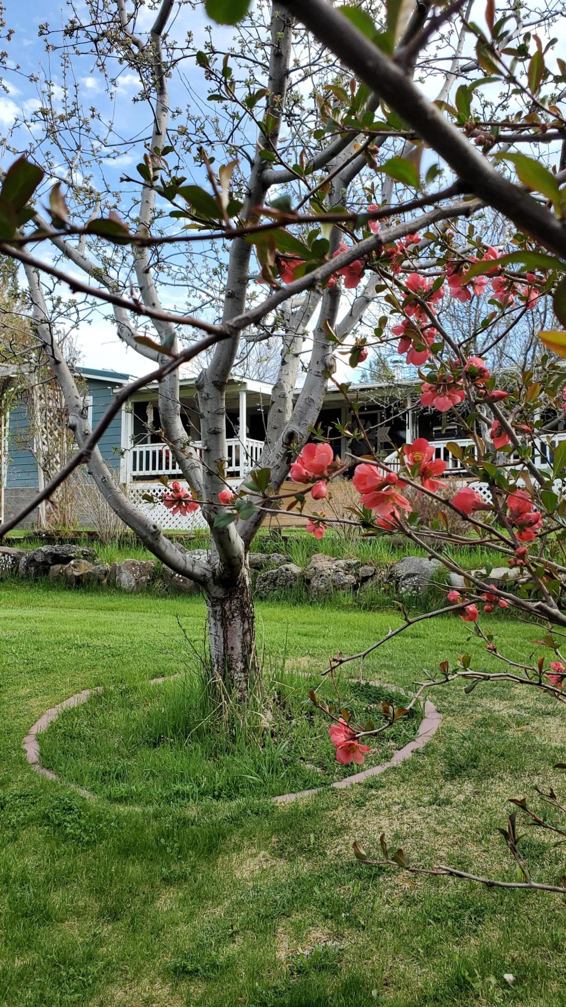 12504 Southeast Cayuse Road Prineville, OR 97754 - Photo 15 of 19 15