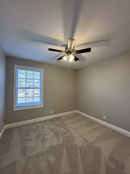 240 Indiana Avenue Oak Grove, KY 42262 - Photo 8 of 15