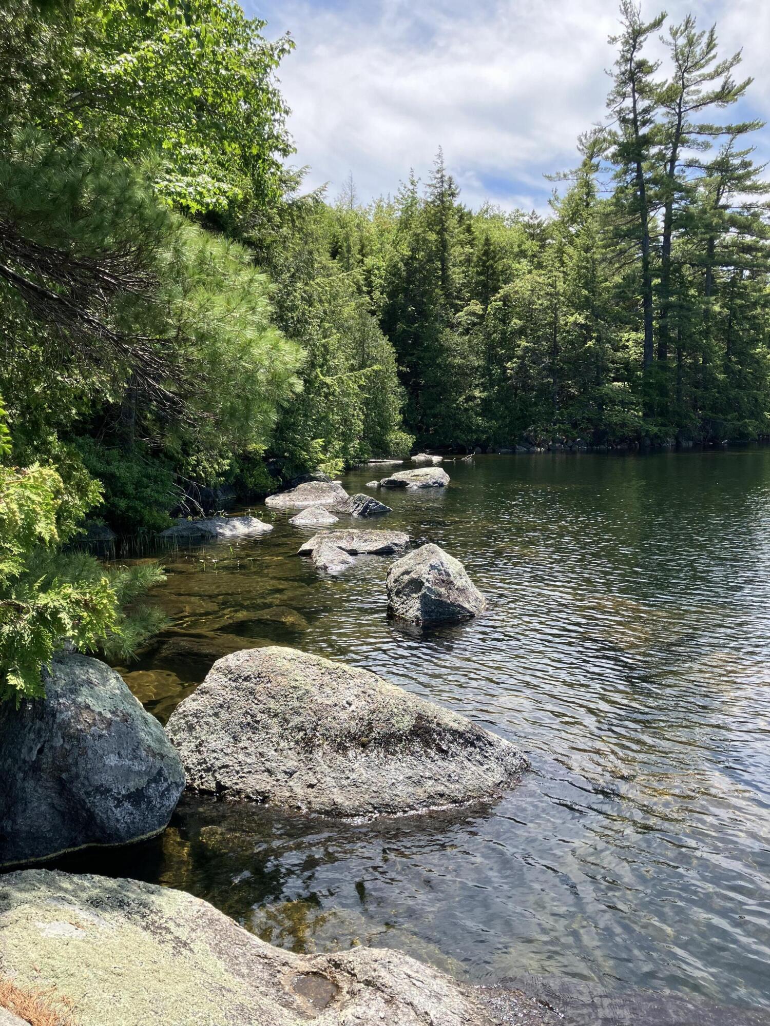 351 East Hopkins Pond Road Ellsworth, ME 04605 - Photo 21 of 30 Shoreline
