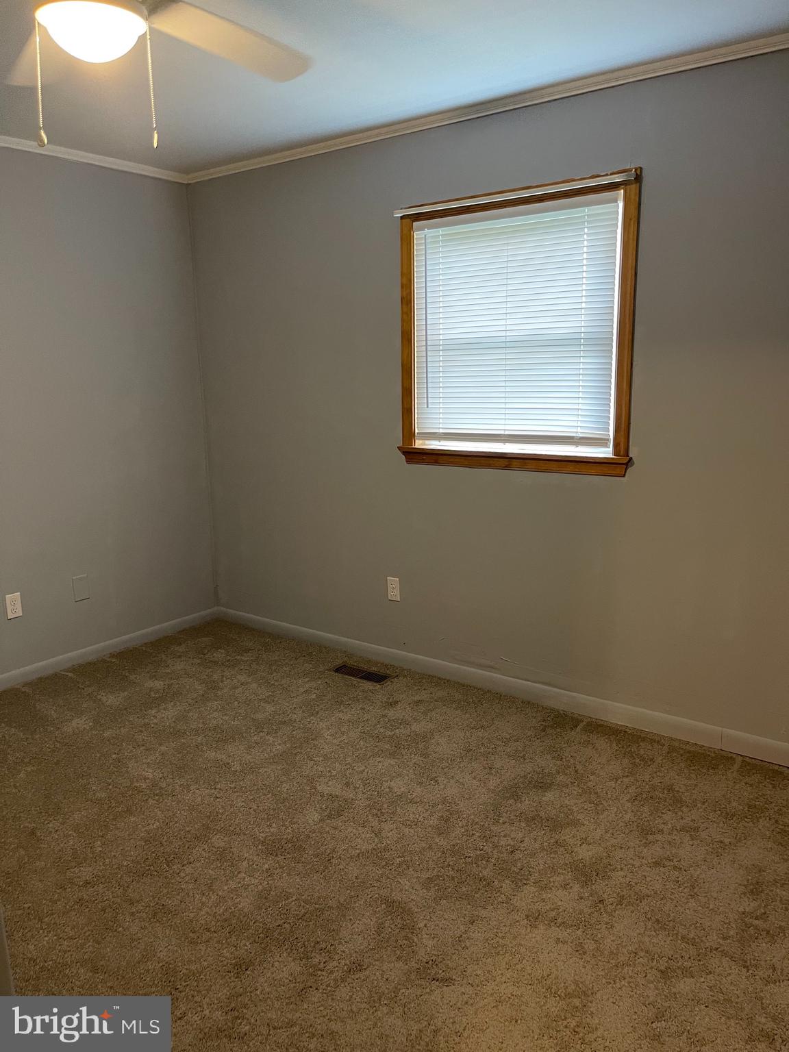 4985 Frazier Neck Road Preston, MD 21655 - Photo 17 of 34