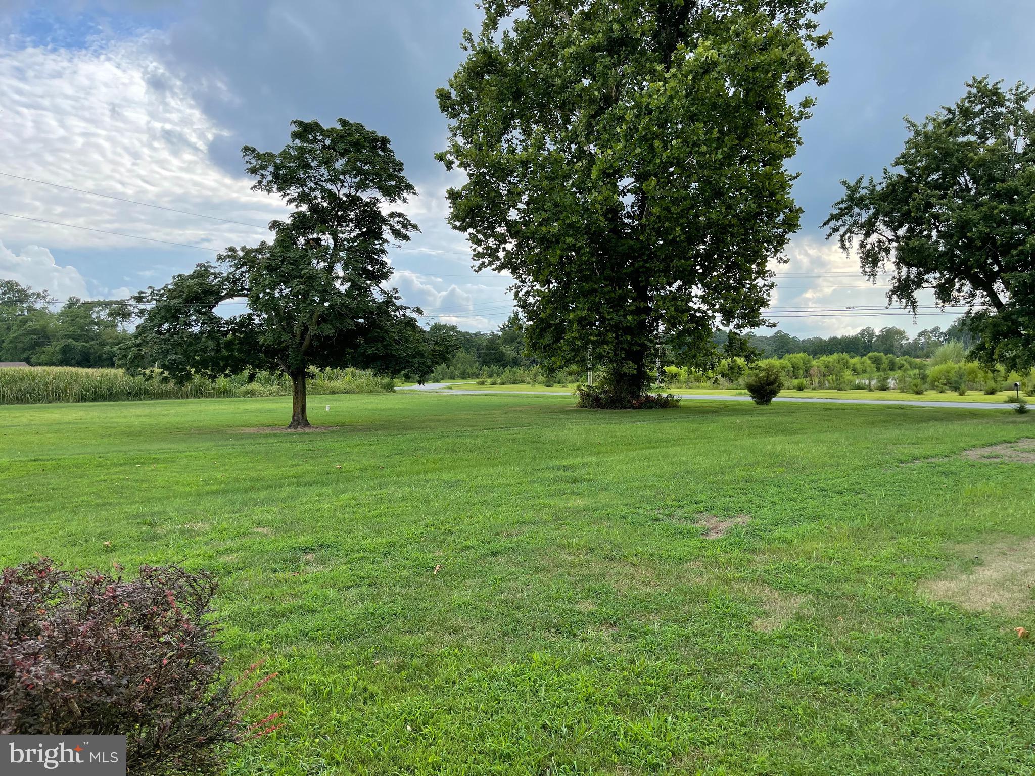 4985 Frazier Neck Road Preston, MD 21655 - Photo 27 of 34