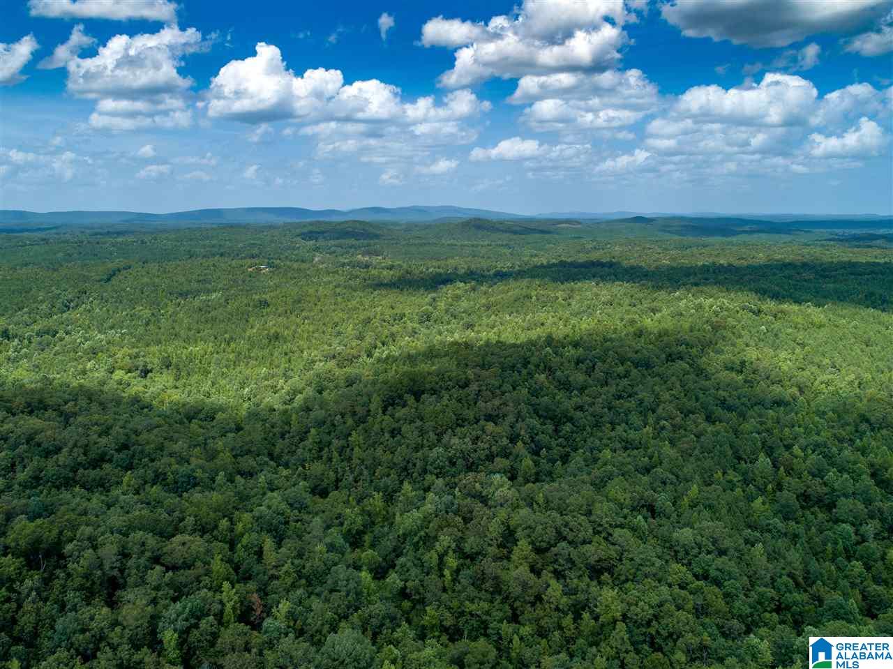 Broken Arrow Road Goodwater, AL 35072 - Photo 18 of 28