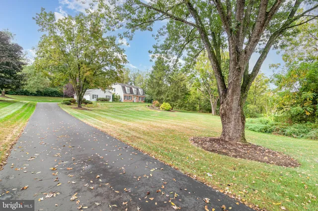 a view of a yard with large trees