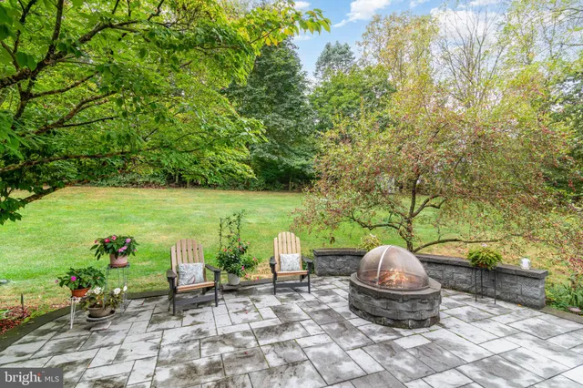 a view of a backyard with plants and garden