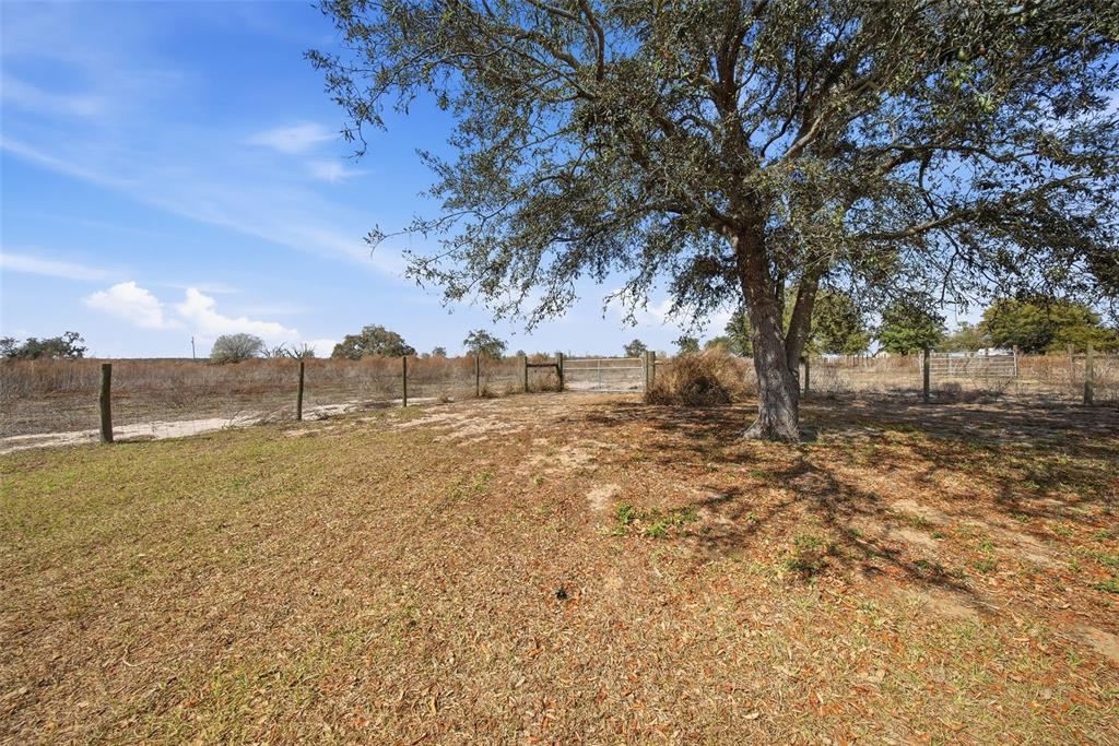 3090 80 Foot Road Bartow, FL 33830 - Photo 39 of 48 a view of dirt yard with a large tree