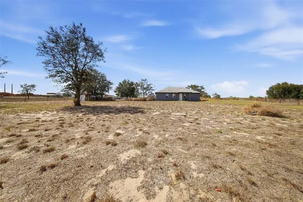 a view of dirt yard with a tree