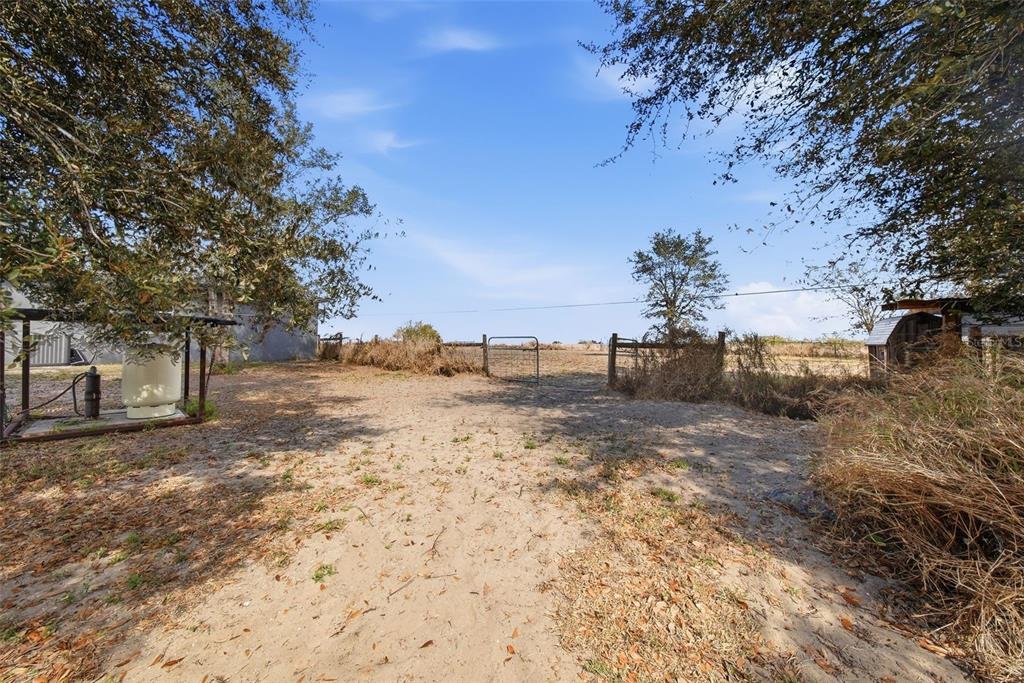 3090 80 Foot Road Bartow, FL 33830 - Photo 42 of 48 a view of dirt yard with a tree
