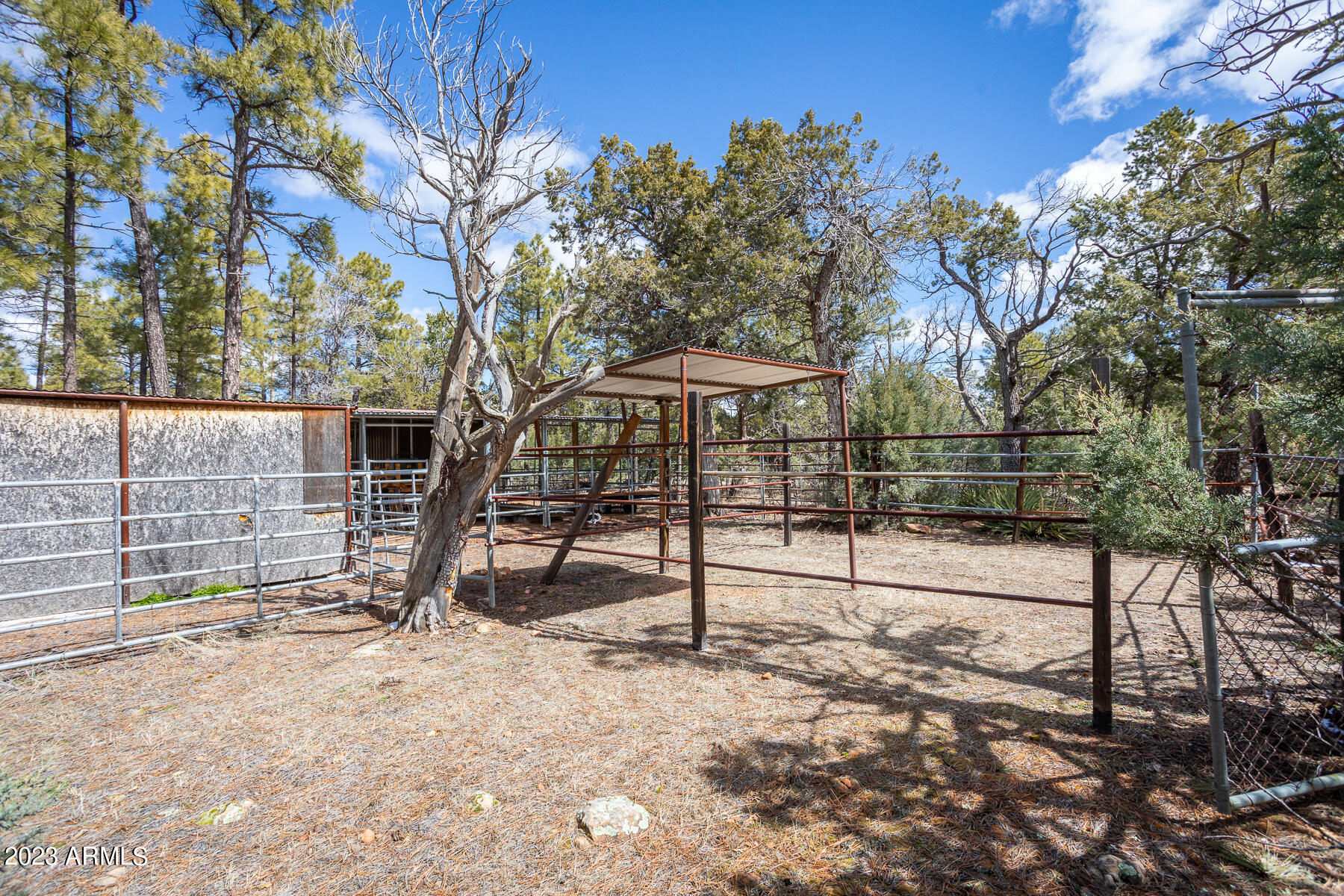 2760 High Ridge Road Overgaard, AZ 85933 - Photo 17 of 27 2760 High Ridge
