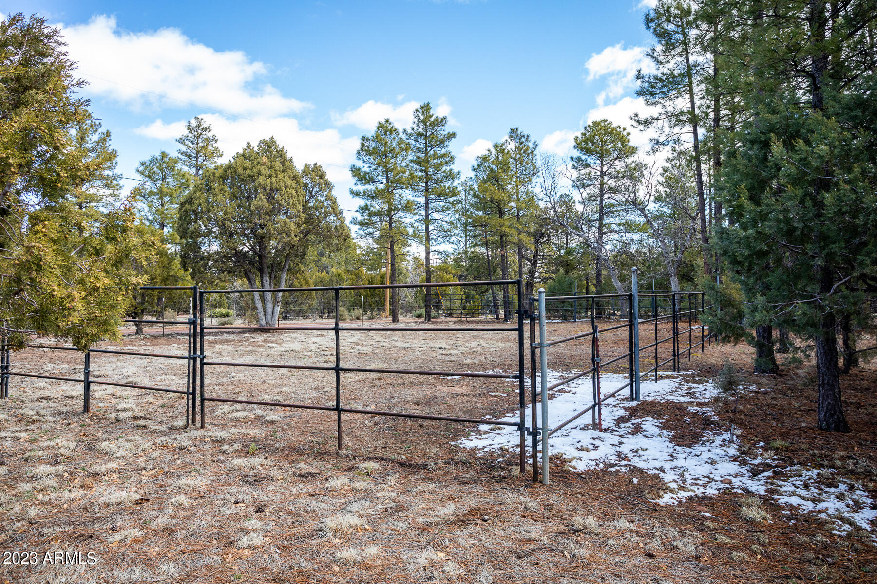 2760 High Ridge Road Overgaard, AZ 85933 - Photo 19 of 27 2760 High Ridge