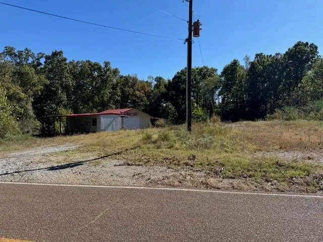 a backyard of a house with lots of green space